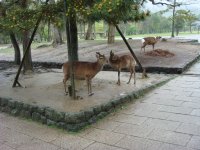 DSC00760.JPG